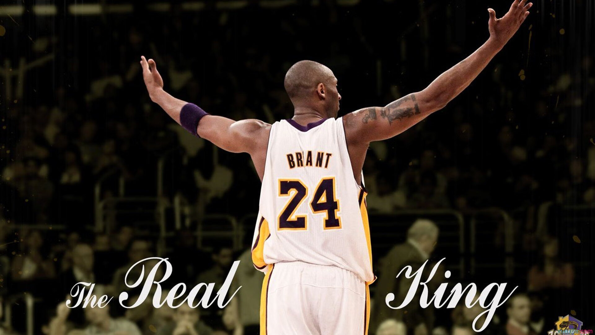 华体会真人体育-《英雄联盟》震撼新英雄“风暴使者”正式发布，粉丝期待迎来风雨新篇章